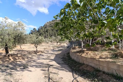 Masia a Sax, Alicante, Sax - € 63.000 | Ref: Panadero - foto 12